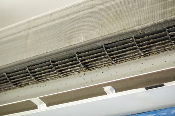 Best Affordable Duct Cleaning Services  in Ansonia, OH